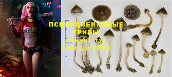 метадон Бикин