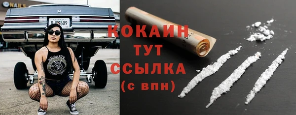 бошки Осинники