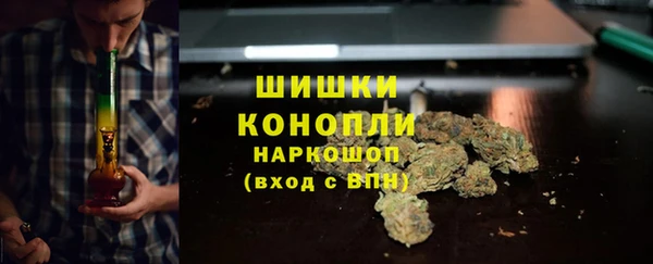 бошки Осинники