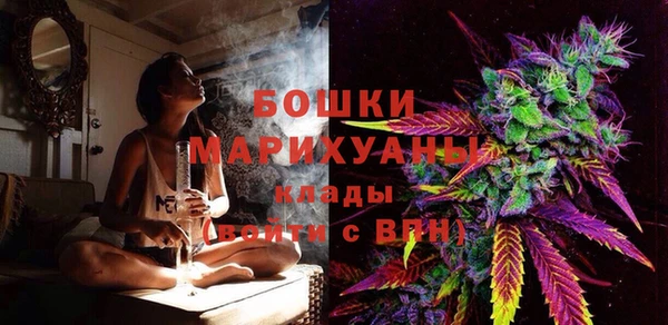 бошки Осинники