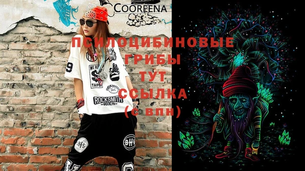 бошки Осинники
